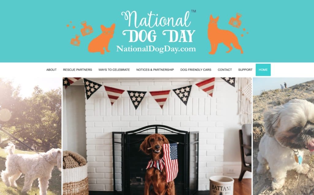 Example Wix Non-Profit Website: National Dog Day