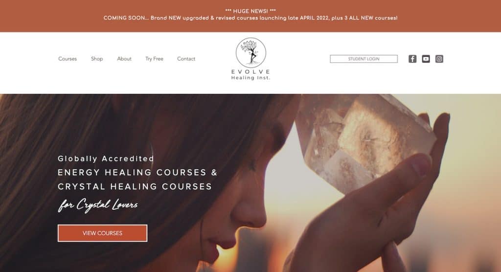 Website Made With Wix Example: Evolve Healing Institute